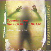 Alison Knowles: Sounds from the Book of Bean