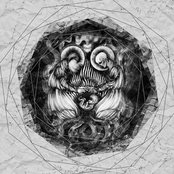 Крізь тисячі лісів