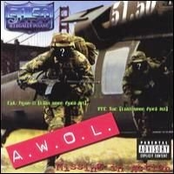 A.W.O.L. Missing In Action