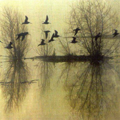 Majestic Thou in Ruin