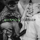 CHAMOIS LEATHER