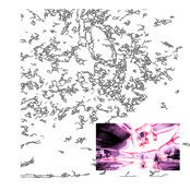 Crypto Poser/The Enigma