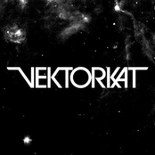 vektorkat