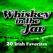 Whiskey In The Jar - 20 Irish Favorites