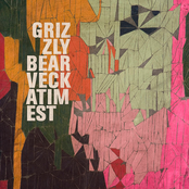 Hold Still by Grizzly Bear