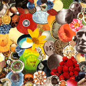 Coyote Image Classic