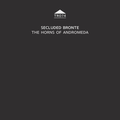 The Horns of Andromeda