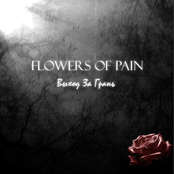 flowers of pain