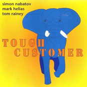 Puzzled by Simon Nabatov Trio