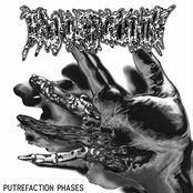 Putrefaction Phases