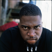 david banner