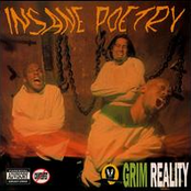 Insane Poetry: Grim Reality