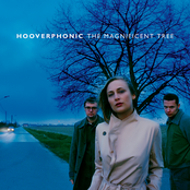 Frosted Flake Wood by Hooverphonic