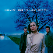 Autoharp by Hooverphonic