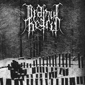 My Soul From The Forest