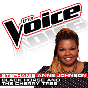 Black Horse and the Cherry Tree (The Voice Performance) - Single