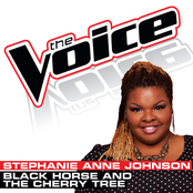 Stephanie Anne Johnson: Black Horse and the Cherry Tree (The Voice Performance) - Single