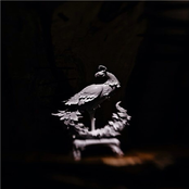 That's Where I'll Go