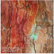Woodruff
