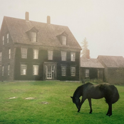 Ocean Swallows Him Whole