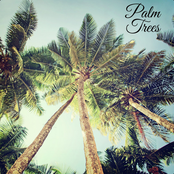 Palm Trees