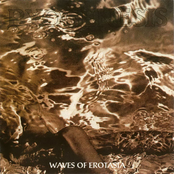 waves of erotasia