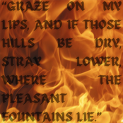 Stray Lower (I. The Daggar / II. The Ritual)