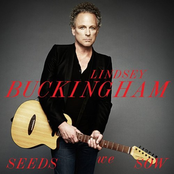 Stars Are Crazy by Lindsey Buckingham