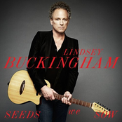 She Smiled Sweetly by Lindsey Buckingham