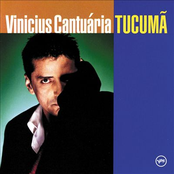 Vinicius Cantuaria: Tucumã