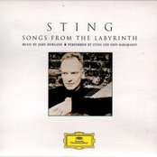 Songs from the Labyrinth (Tour Edition)