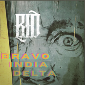 Bravo India Delta