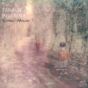 The Parson Red Heads: Blurred Harmony