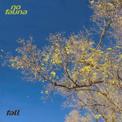 fall