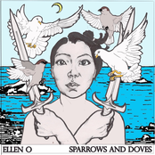 Sparrows And Doves