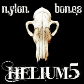 Nylon Bones (Acoustic)