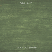 Sea Bird Sunset - Single