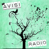 The Avisi - Live Radio