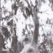 Algor / Ruin Of Hedonism