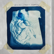 Forever Means Nothing