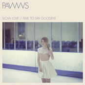 Time To Say Goodbye by Pawws