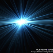 The past inside the present