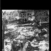 Violent Gorge / Bestial Vomit / Bachelor Weekend