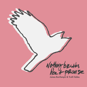 Nothing Breaks Like a Promise - Single