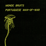 Portuguese Man-Of-War