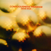 Consciousness Program