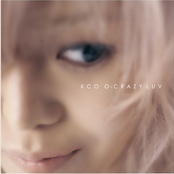 Self Indication by Kco