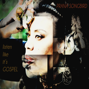 Listen Like Its Gospel