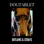Outlaws & Strays