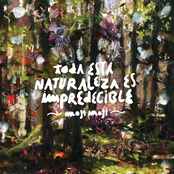 Toda Esta Naturaleza Es Impredicible